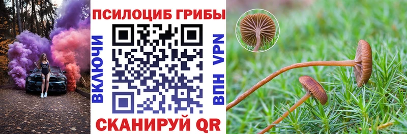 Псилоцибиновые грибы MAGIC MUSHROOMS  ОМГ ОМГ как зайти  Ленинск 